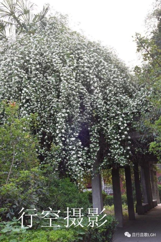 永恒边境